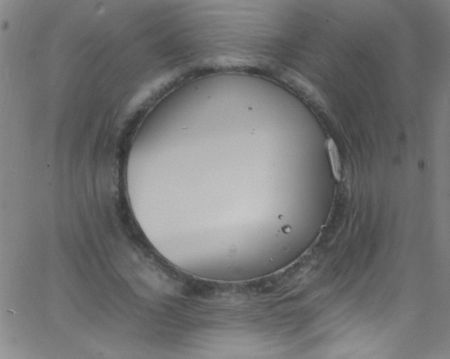 X0000067950732200604272059