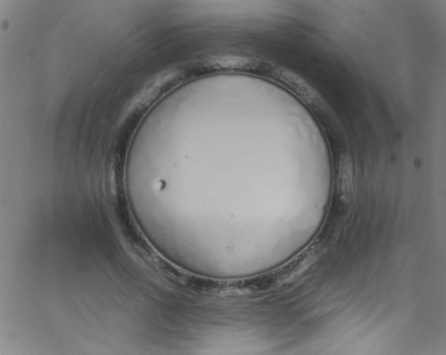 X0000067950734200604272059