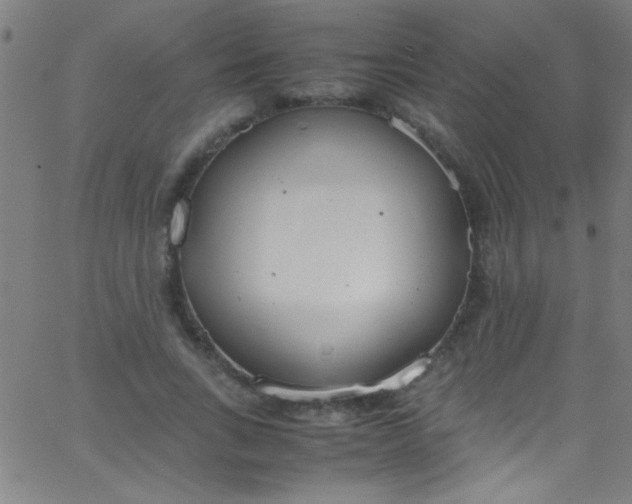 X0000067950735200604272059