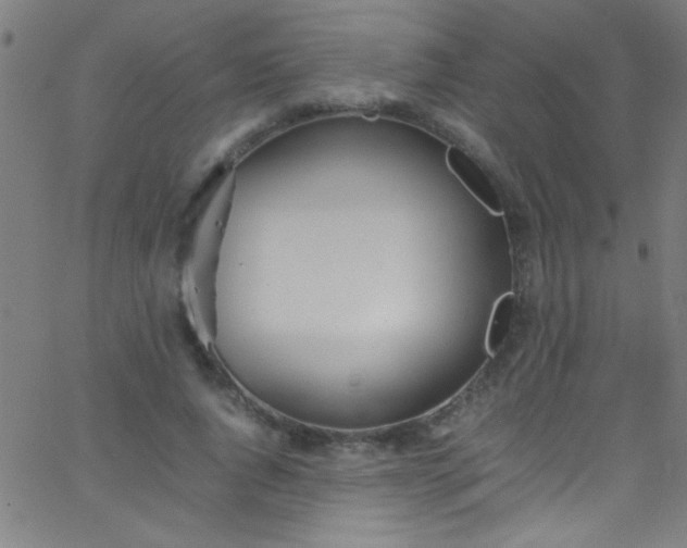 X0000067950736200604272059