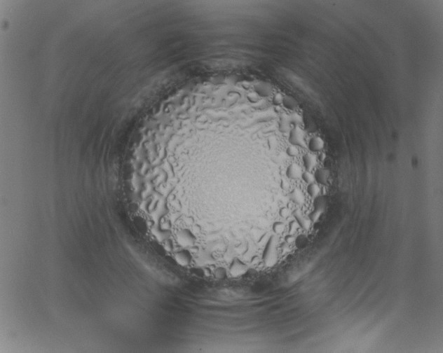 X0000067950737200604272059