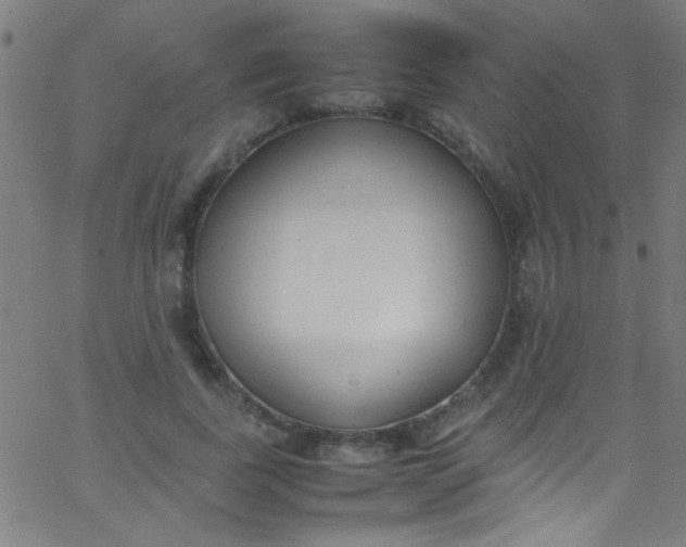 X0000067950739200604272059