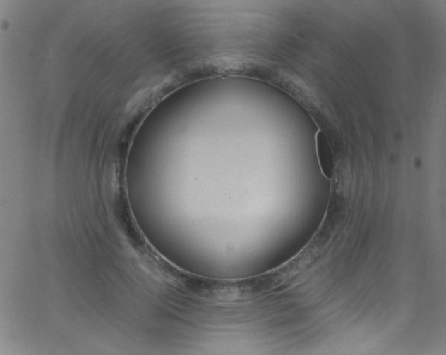 X0000067950740200604272059