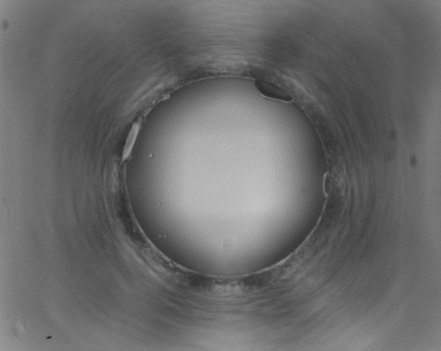 X0000067950744200604272059