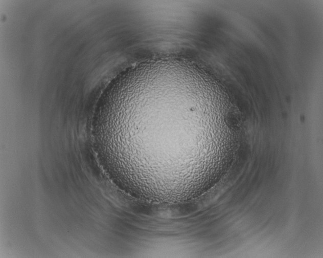 X0000067950746200604272059