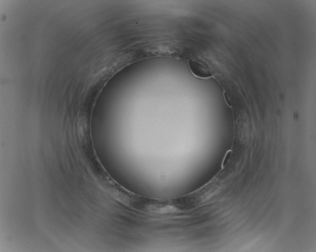 X0000067950747200604272059