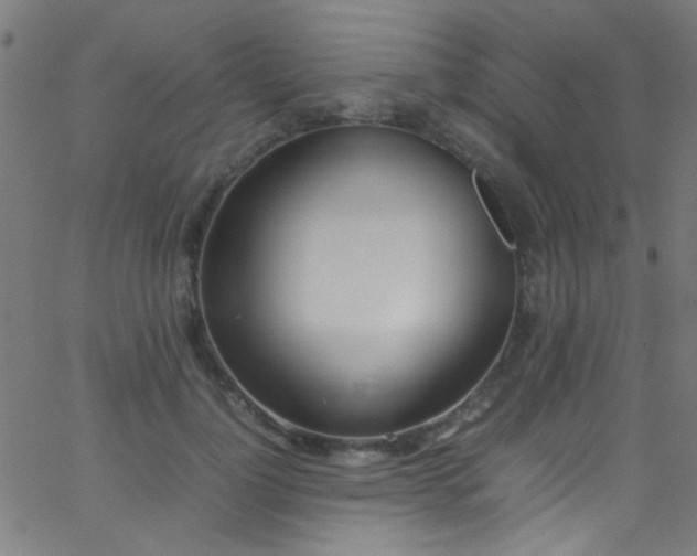 X0000067950748200604272059