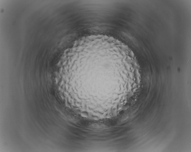 X0000067950749200604272059