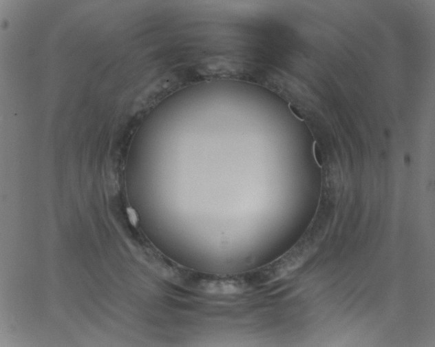 X0000067950751200604272059