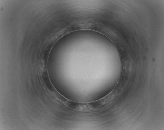 X0000067950752200604272059