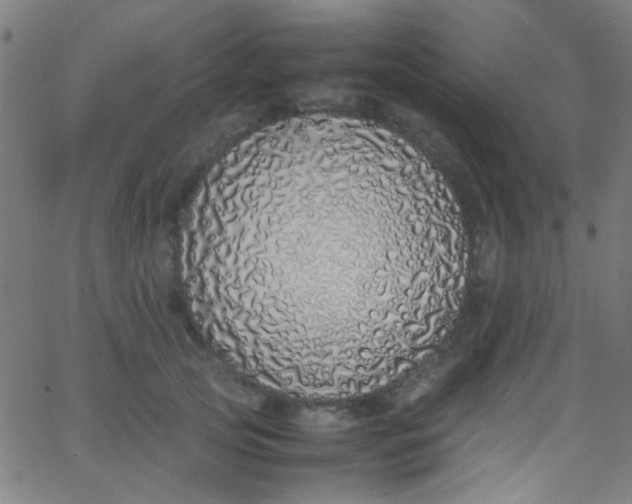 X0000067950753200604272059