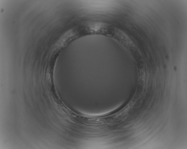 X0000067950754200604272059