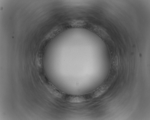 X0000067950755200604272059