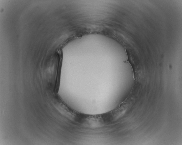 X0000067950756200604272059