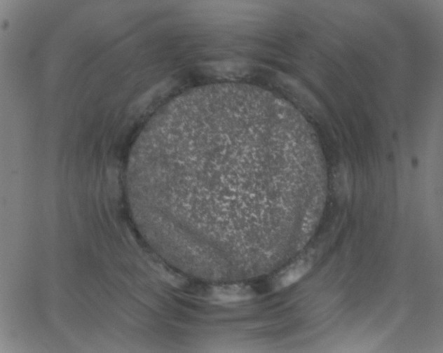 X0000067950757200604272059