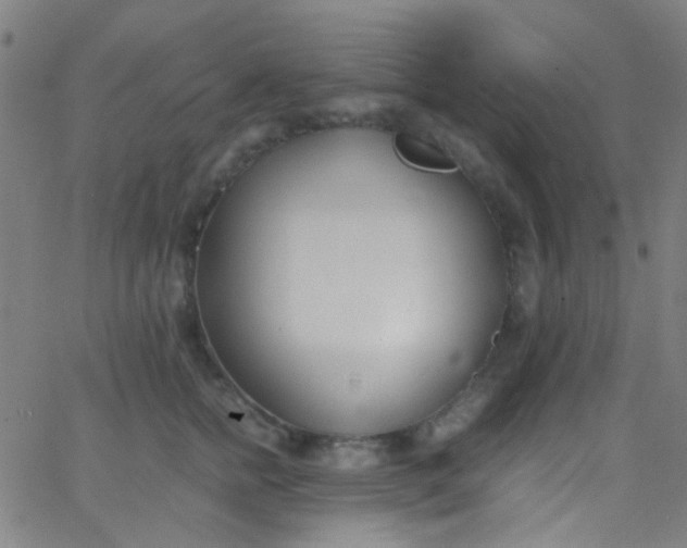 X0000067950758200604272059