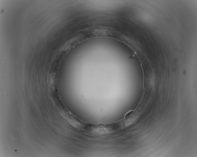 X0000067950759200604272059