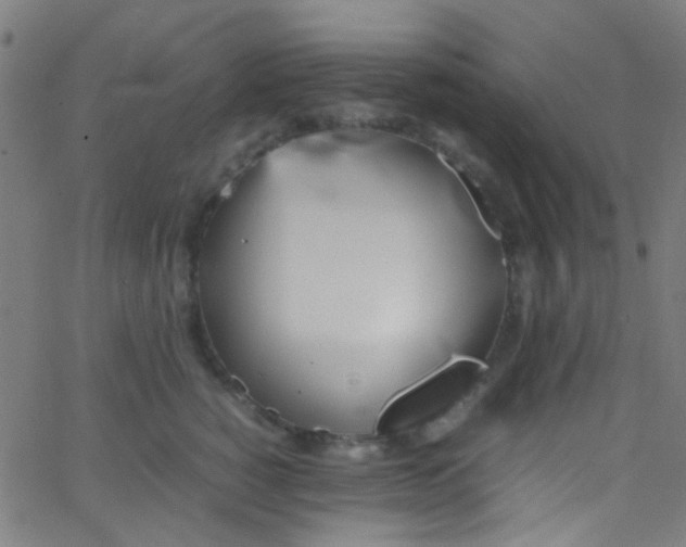 X0000067950760200604272059