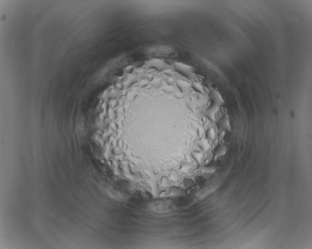 X0000067950761200604272059