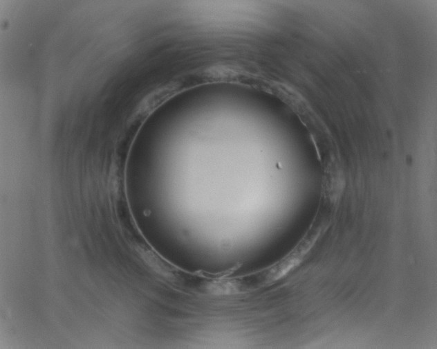 X0000067950762200604272059