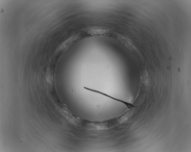 X0000067950763200604272059