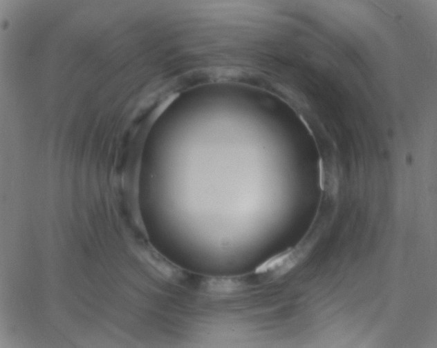 X0000067950766200604272059