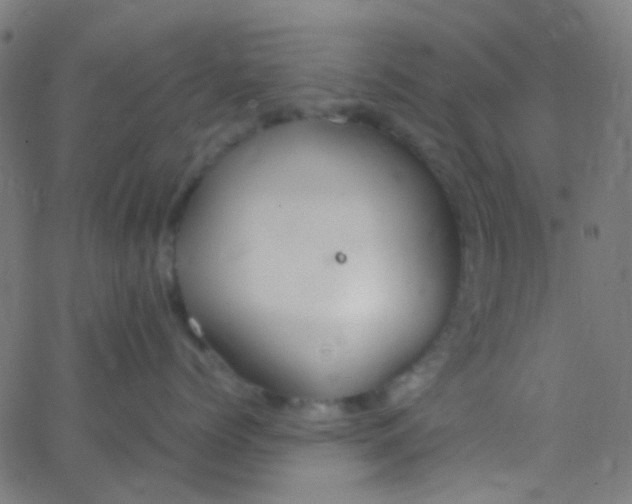 X0000067950768200604272059