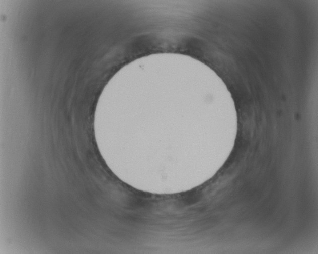 X0000067950769200604272058