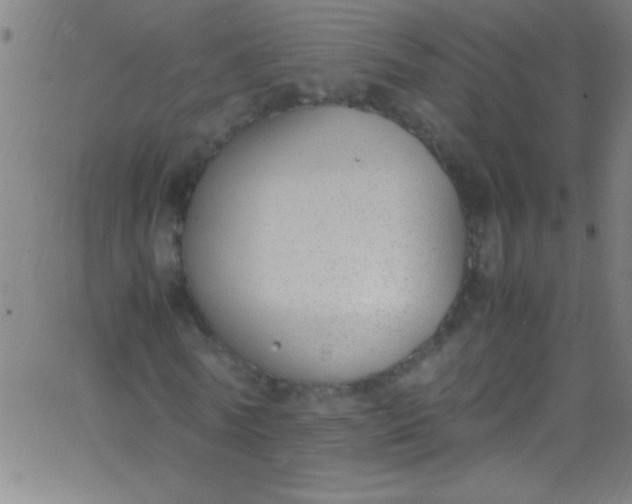 X0000067950770200604272058