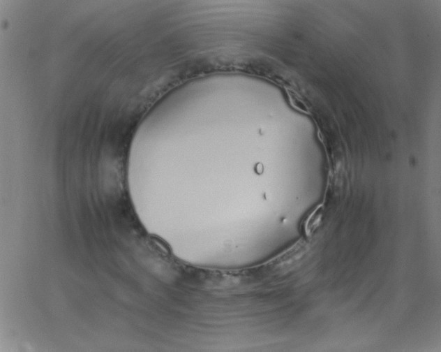 X0000067950772200604272058