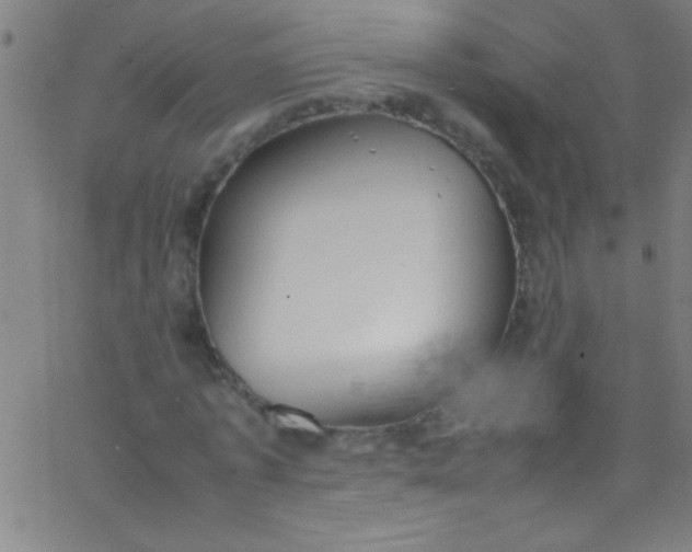 X0000067950773200604272058