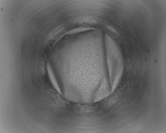 X0000067950774200604272058