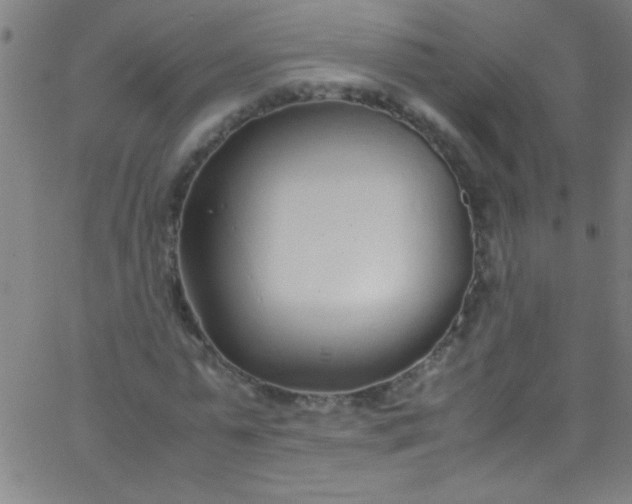 X0000067950775200604272058