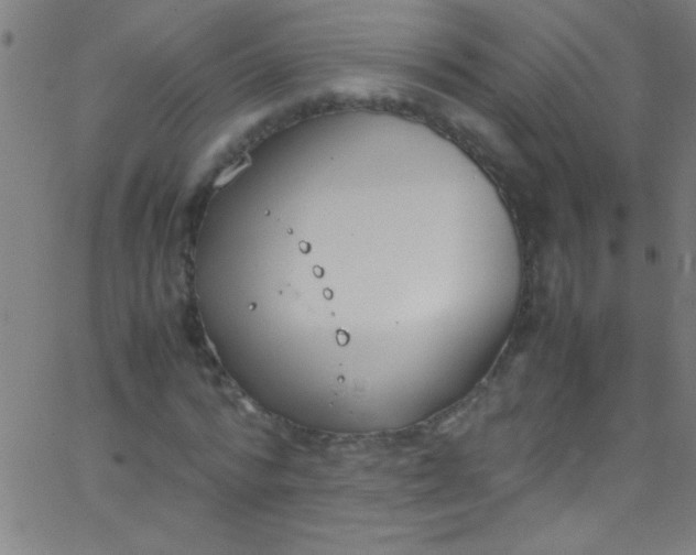 X0000067950776200604272058