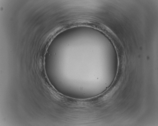 X0000067950777200604272058