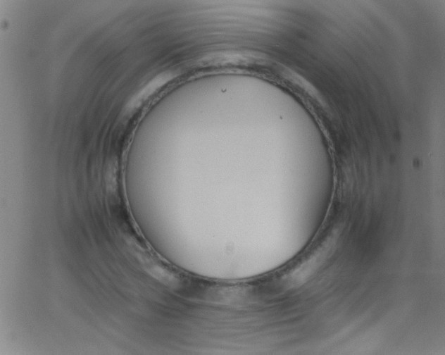 X0000067950778200604272058