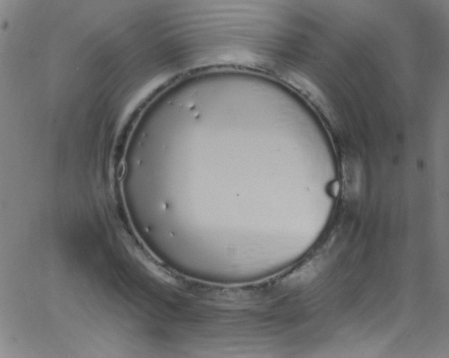 X0000067950780200604272058