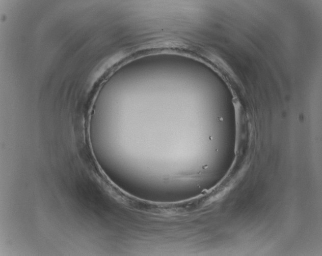 X0000067950781200604272058