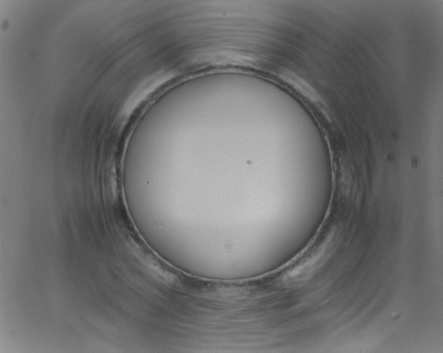 X0000067950782200604272058