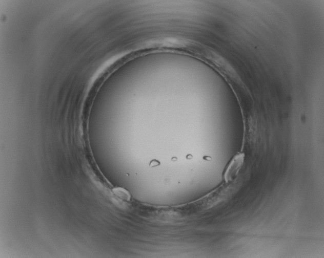 X0000067950784200604272058