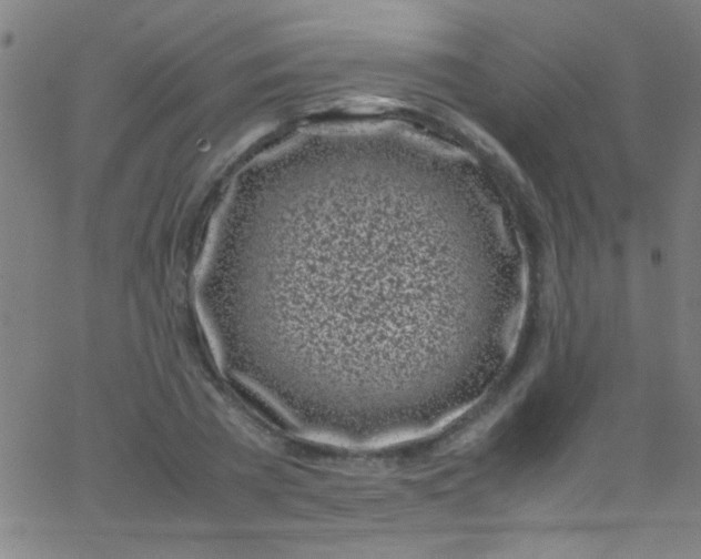 X0000067950785200604272058