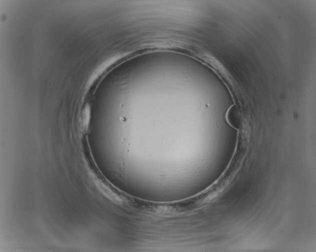 X0000067950787200604272058