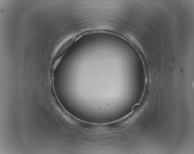 X0000067950789200604272058