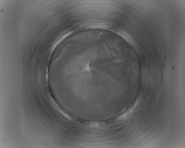 X0000067950790200604272058