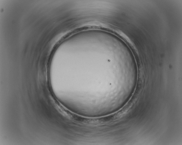 X0000067950791200604272058