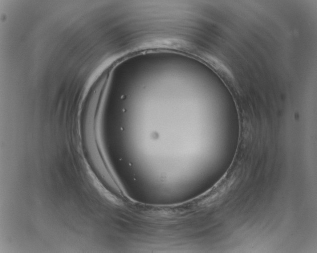 X0000067950792200604272058