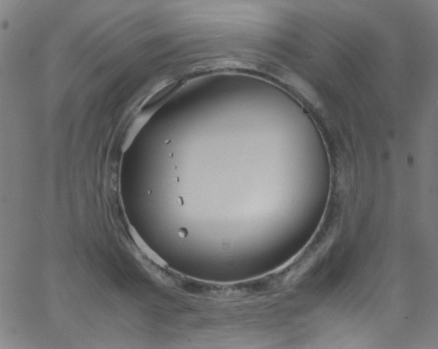 X0000067950793200604272058