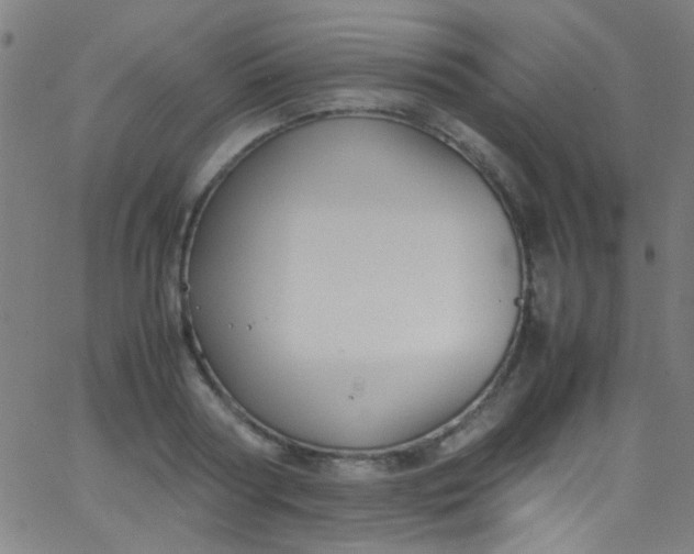 X0000067950794200604272058