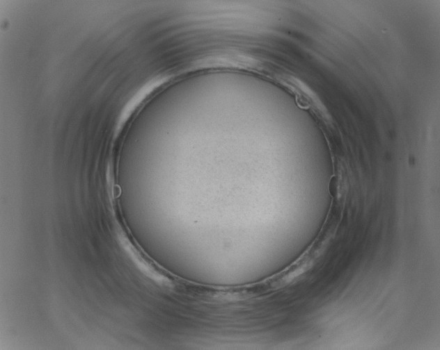 X0000067950796200604272058