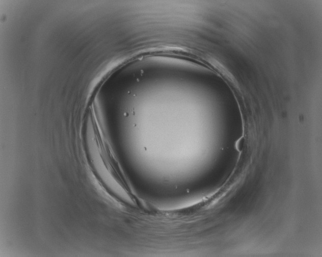 X0000067950797200604272058